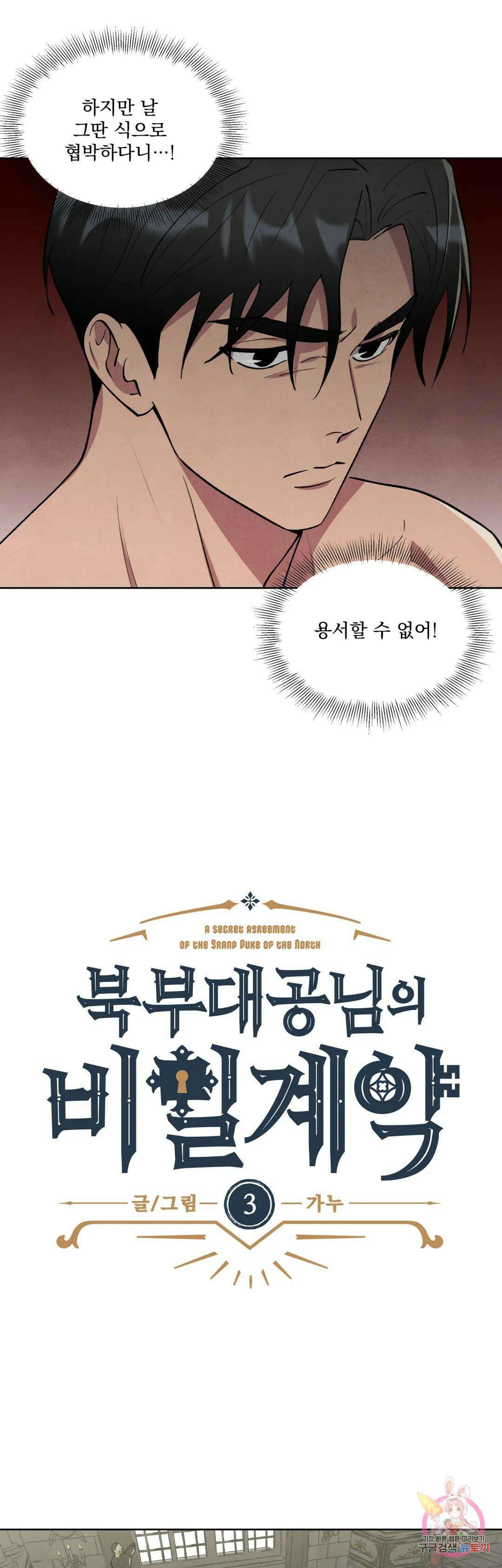 북부대공님의 비밀계약 3화 9