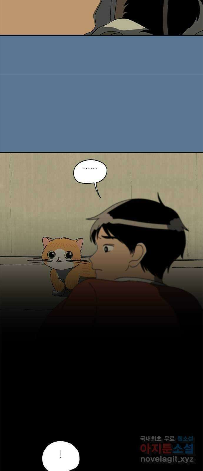 고양이 타타 22화 22