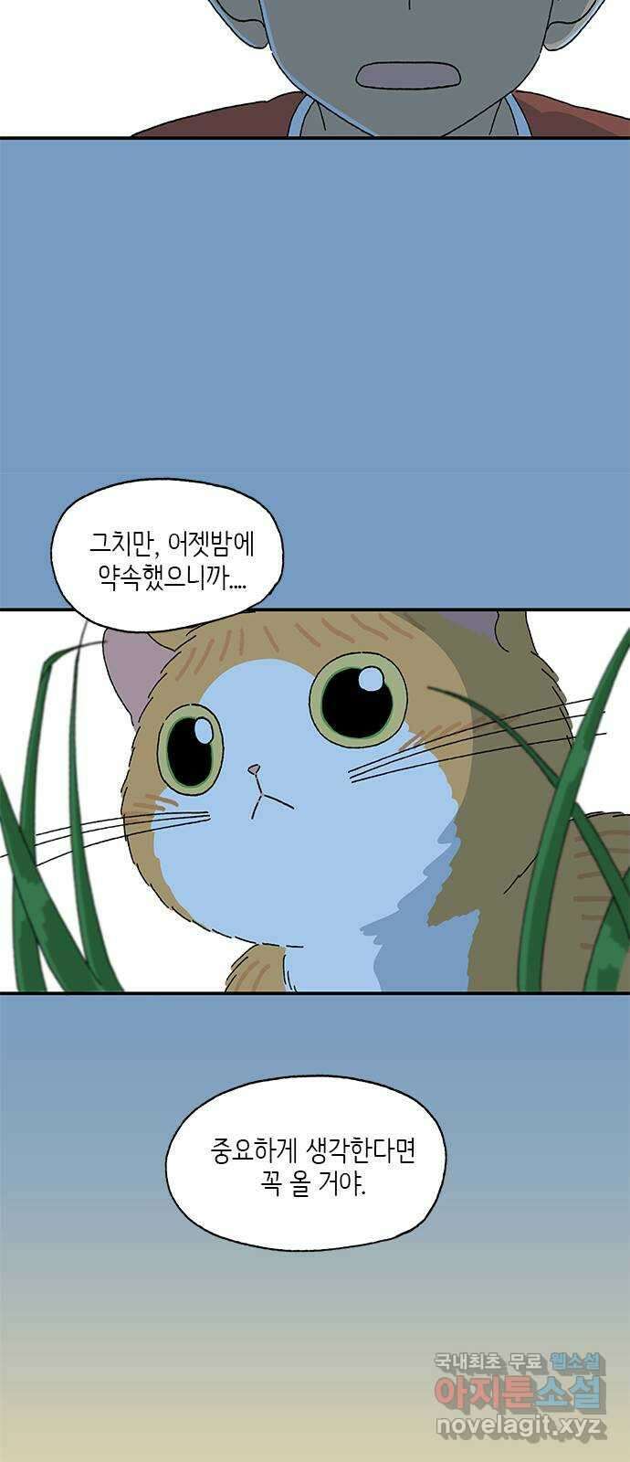 고양이 타타 22화 42
