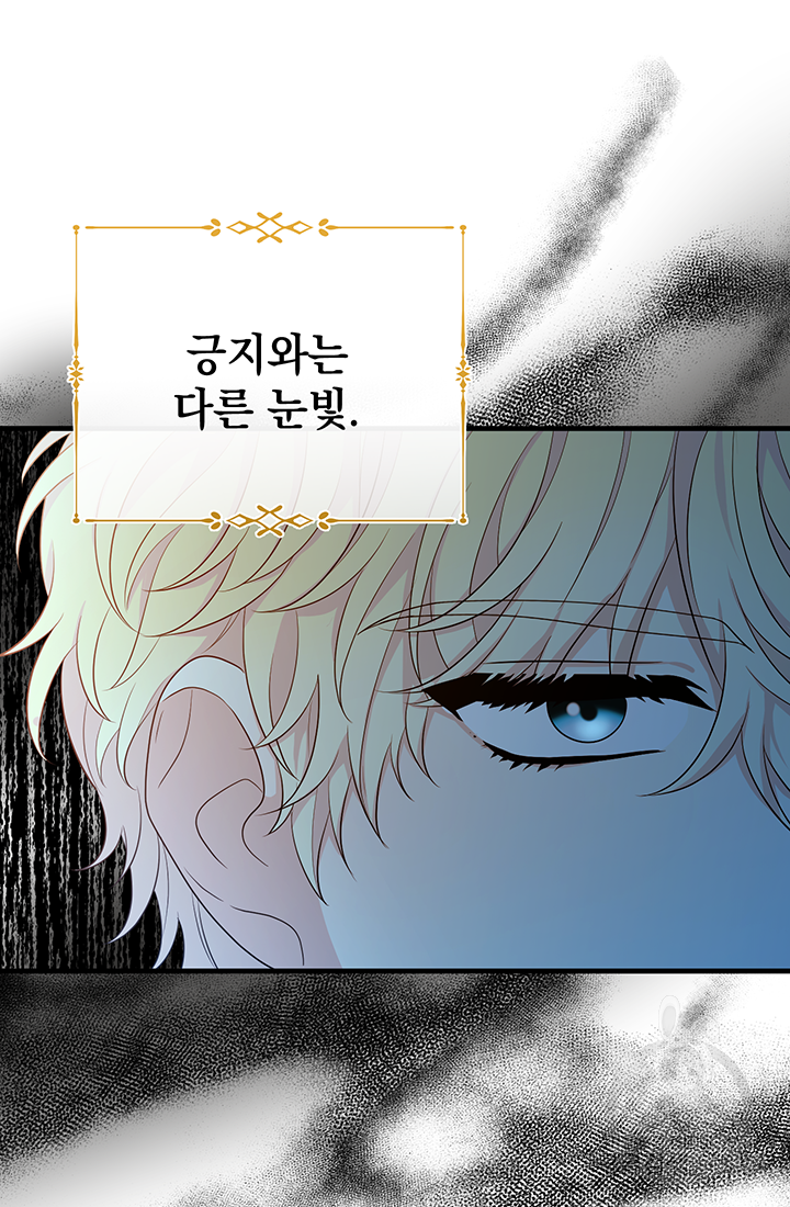 야반도주는 신중히 17화 9