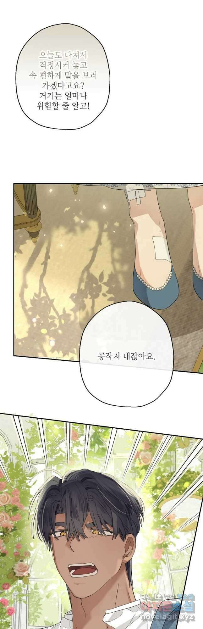 백작가의 사생아가 결혼하면 66화 8