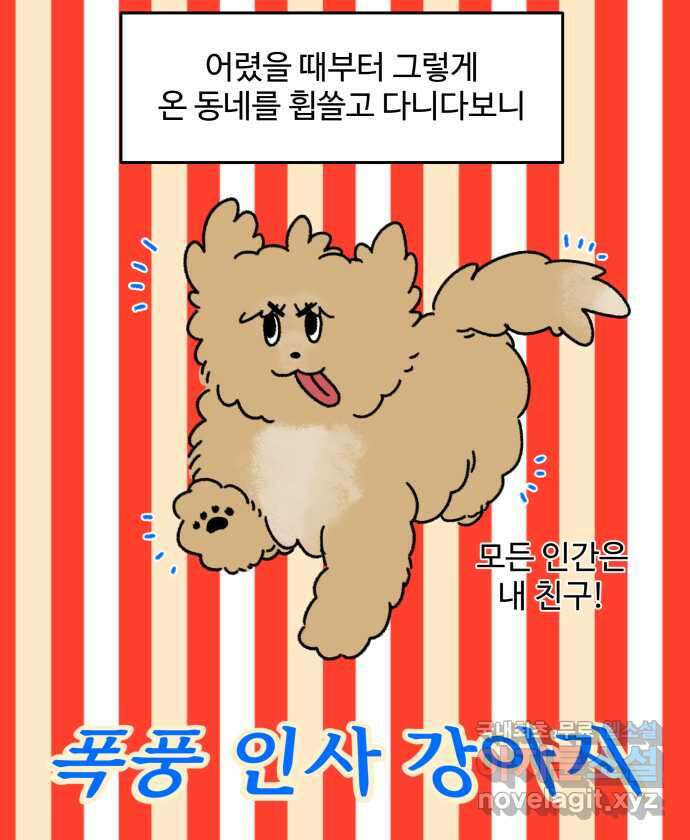 강아지는 멍멍하고 짖지 않아! 4화 - 밤빵이의 친구 11