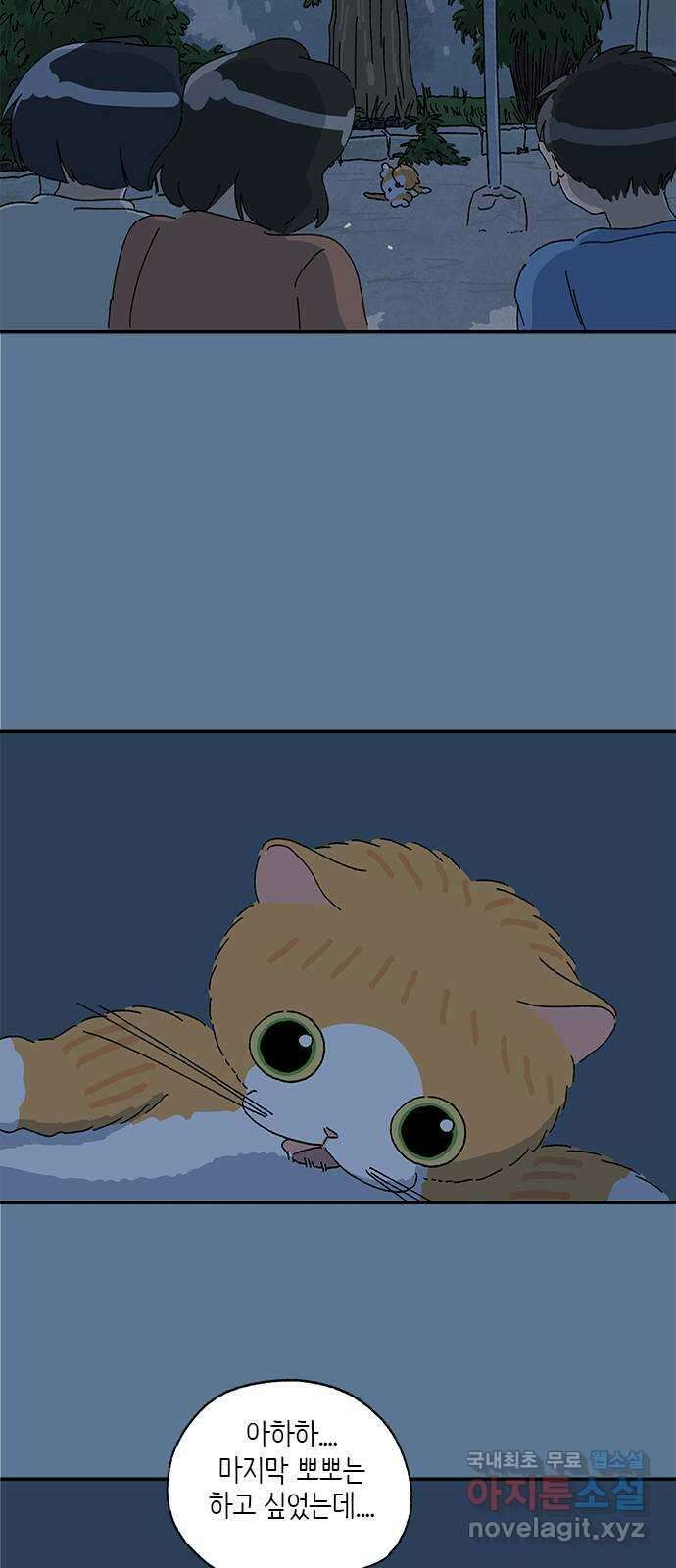 고양이 타타 26화 15