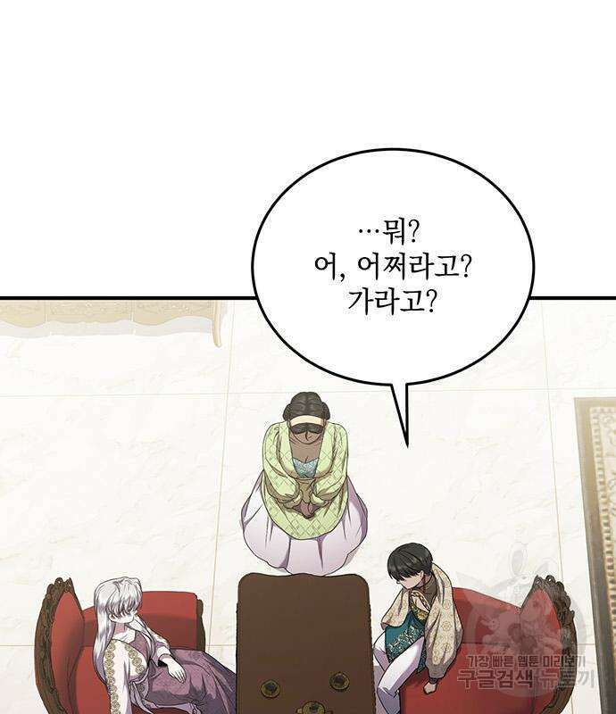 황후를 훔친 이는 누구인가 28화 113