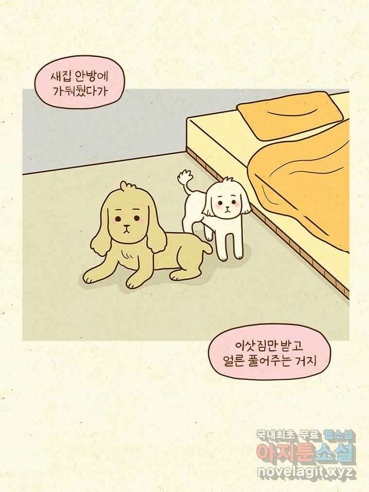 반지하셋방 336화 좋은 기운 8