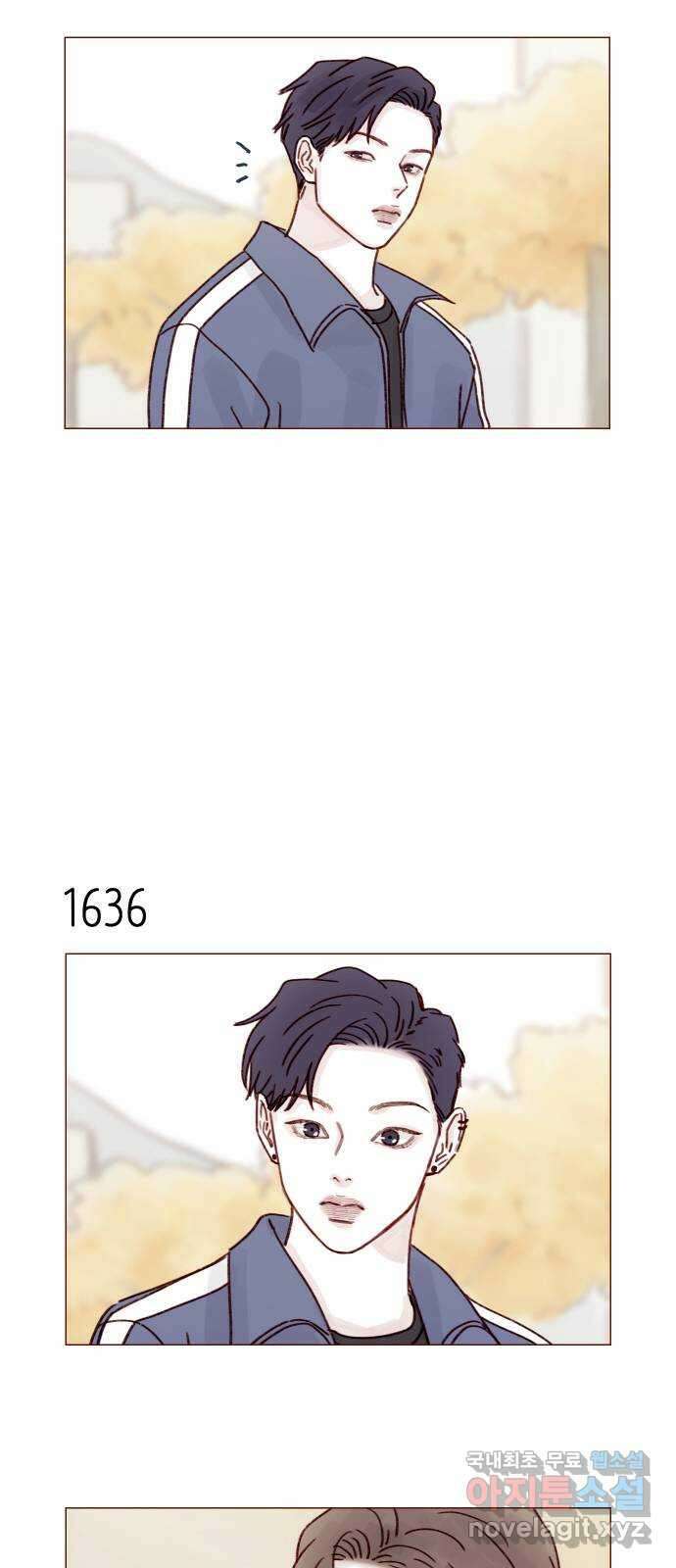 홍시는 날 좋아해! 252화 : 모르겠어요. 저도 어떻게 해야 할지 11