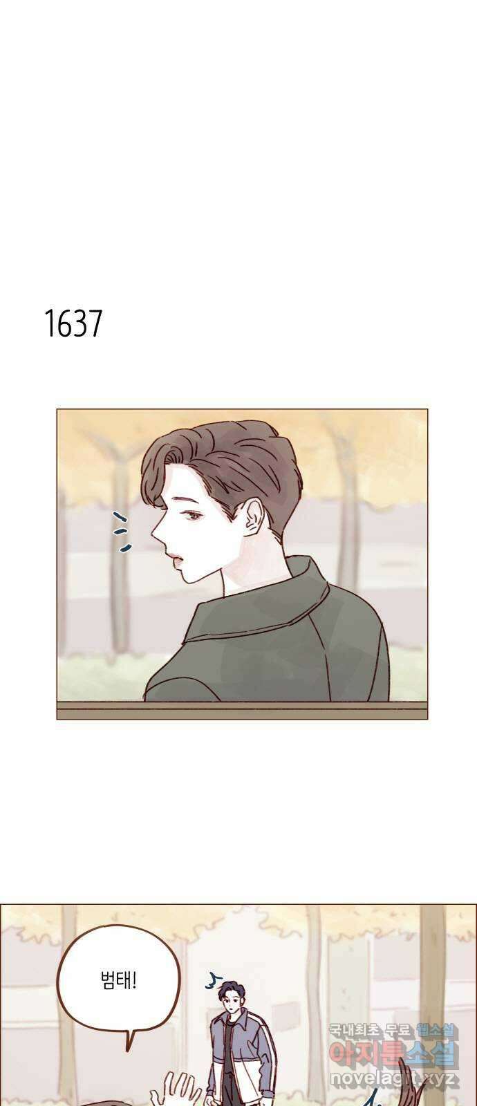 홍시는 날 좋아해! 252화 : 모르겠어요. 저도 어떻게 해야 할지 14