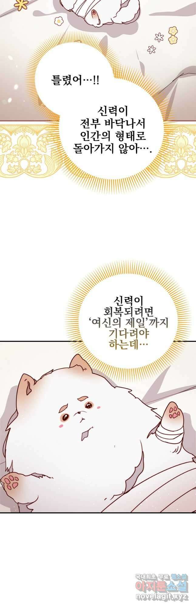 비비안을 잊어주세요 38화 13