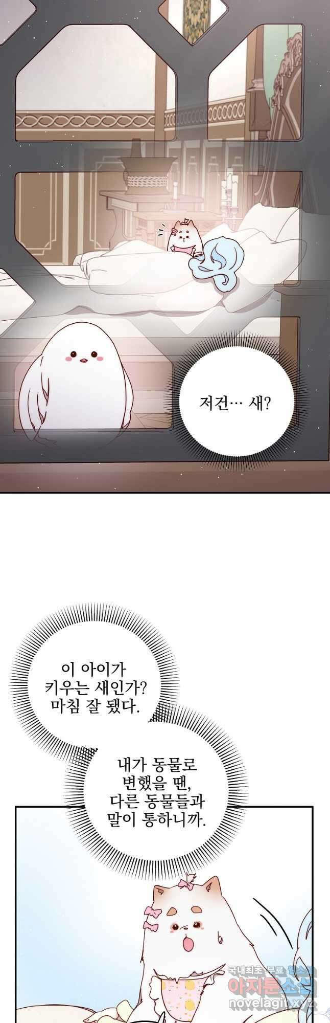 비비안을 잊어주세요 38화 35