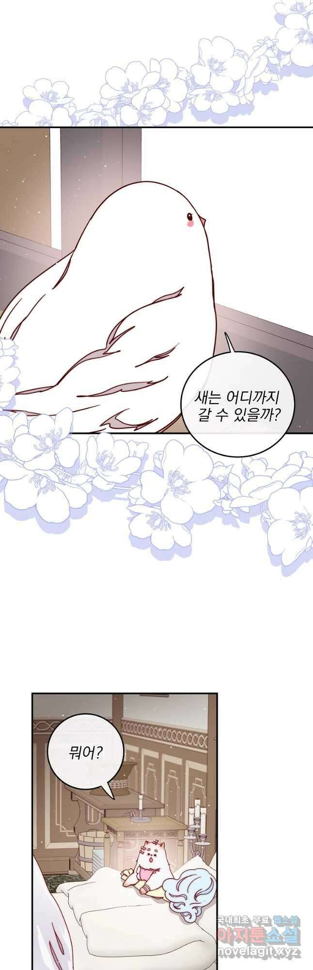 비비안을 잊어주세요 38화 37