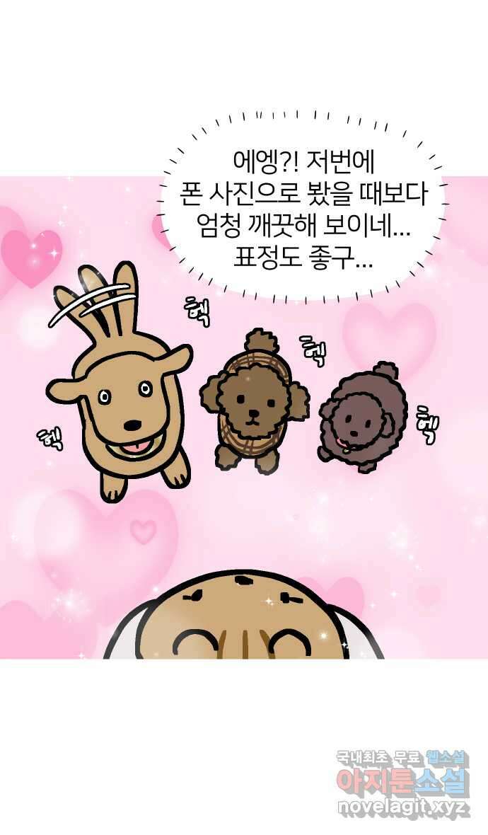애옹식당 86화 개플루언서의 꿈 10