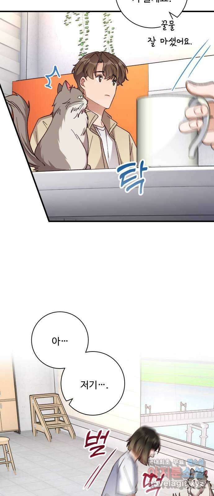 완벽한 부부는 없다 73화 54