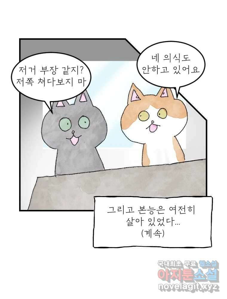 고기자의 힘드러운 기자생활 14화 경로 의존성 33