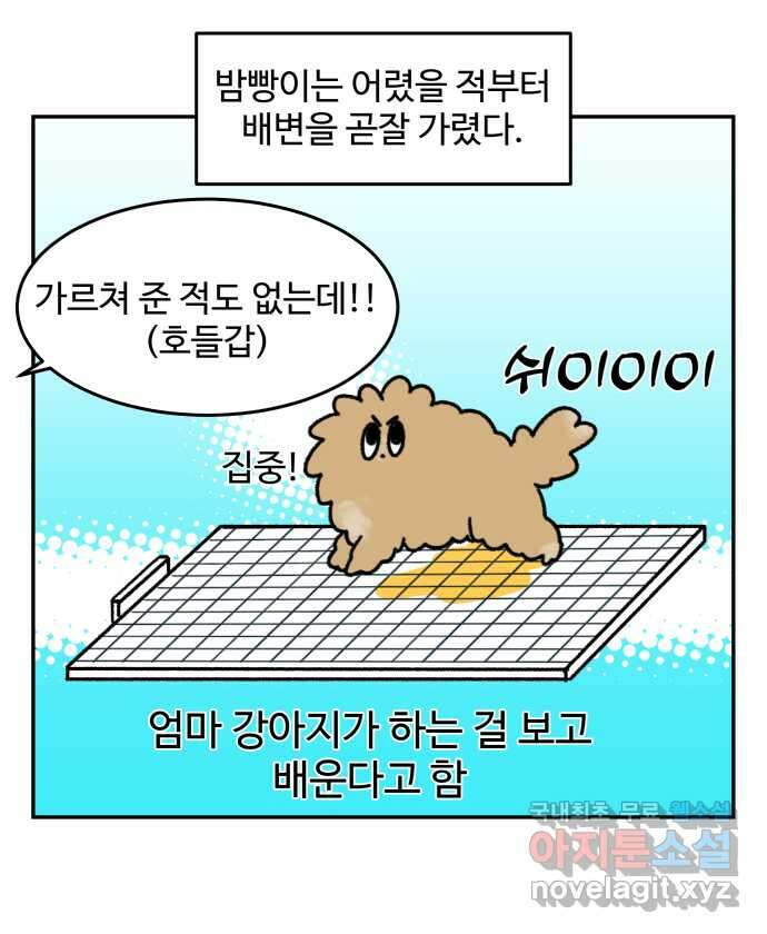 강아지는 멍멍하고 짖지 않아! 19화 - 배변 훈련 2