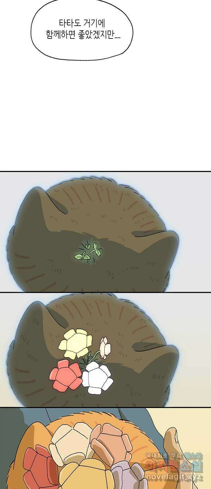 고양이 타타 34화 5