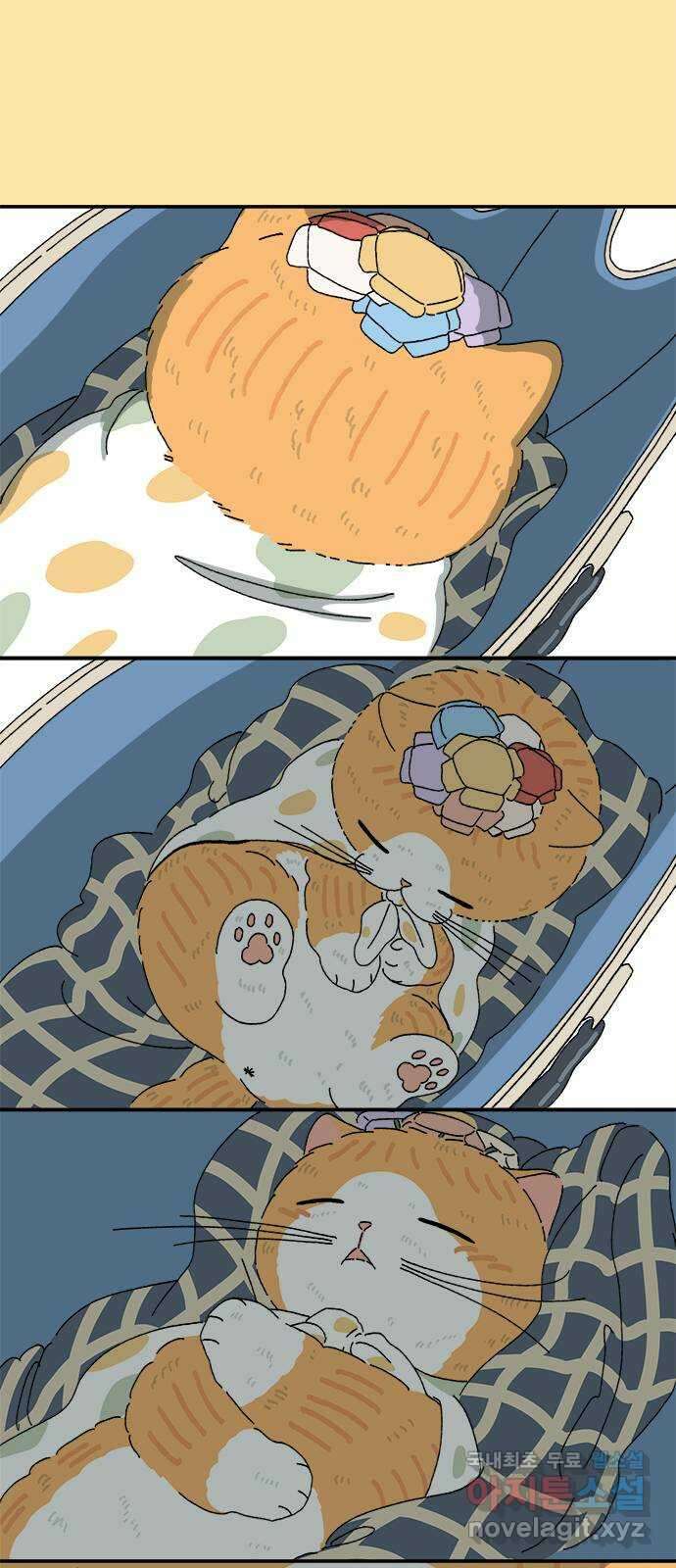 고양이 타타 34화 26