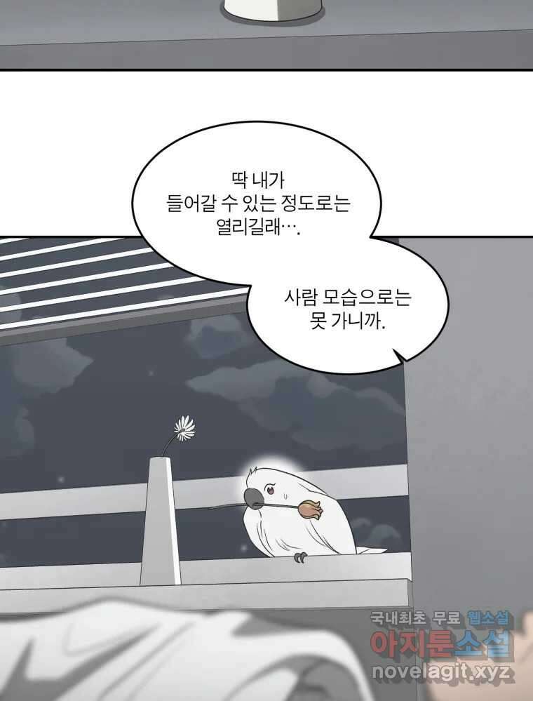 그녀의 앵무새 142화 전하지 못했던 진심(1) 129
