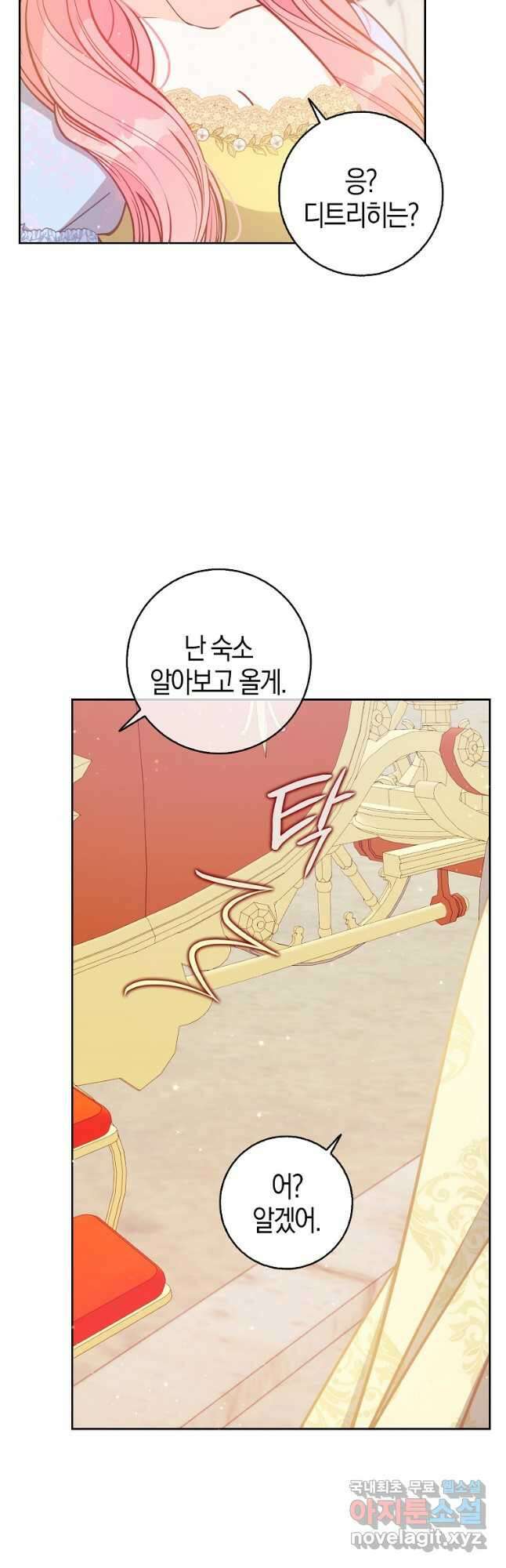 악당 대공님의 귀하디귀한 여동생 113화 6