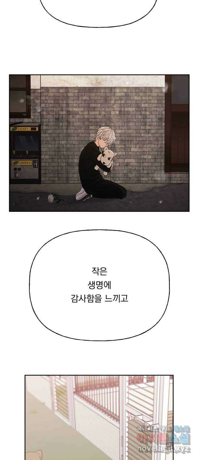 결혼공략 78화 26