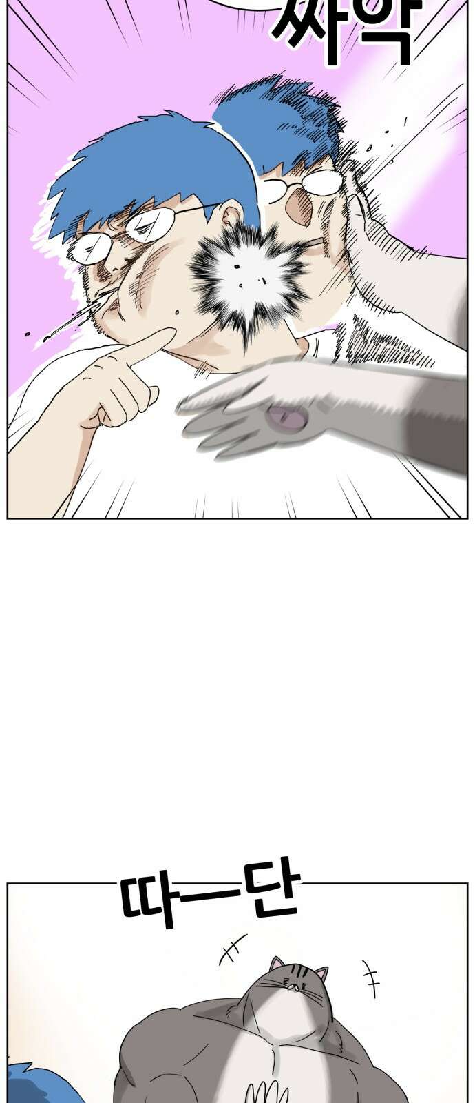 괴양이 13화 초파리 5