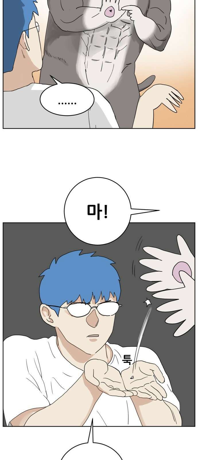 괴양이 13화 초파리 6