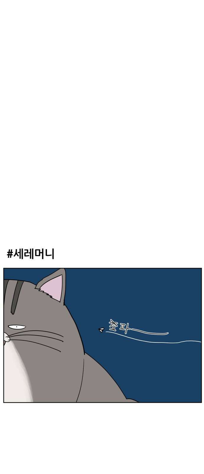 괴양이 13화 초파리 11