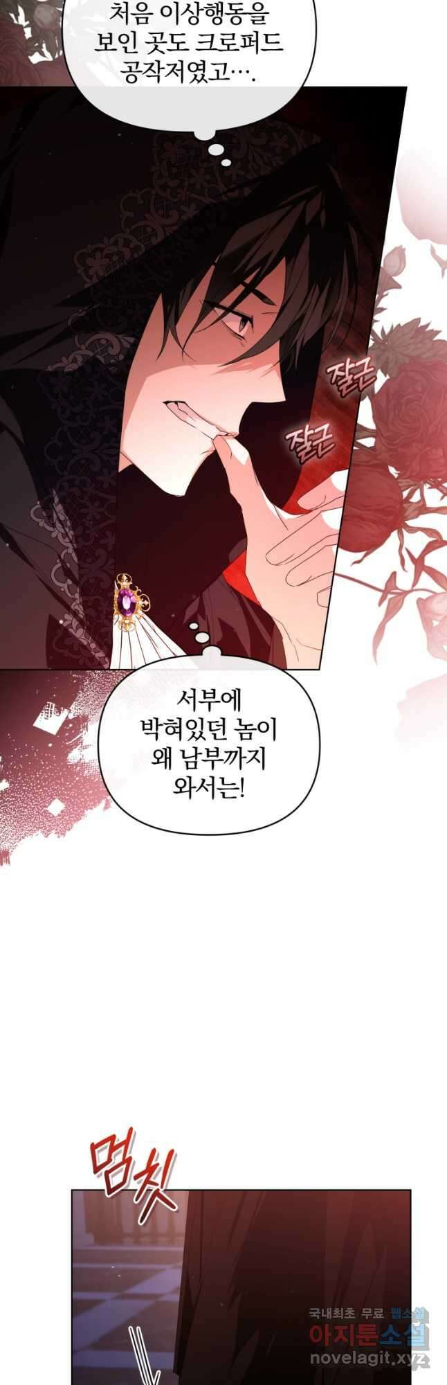 미친 악당의 품으로 떨어졌다 23화 12