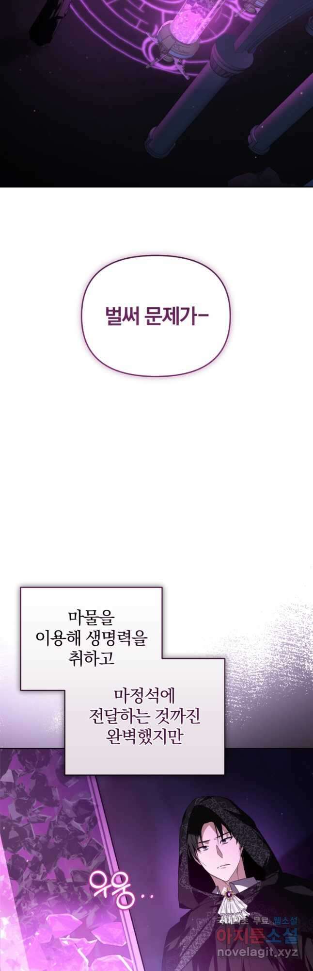 미친 악당의 품으로 떨어졌다 23화 18