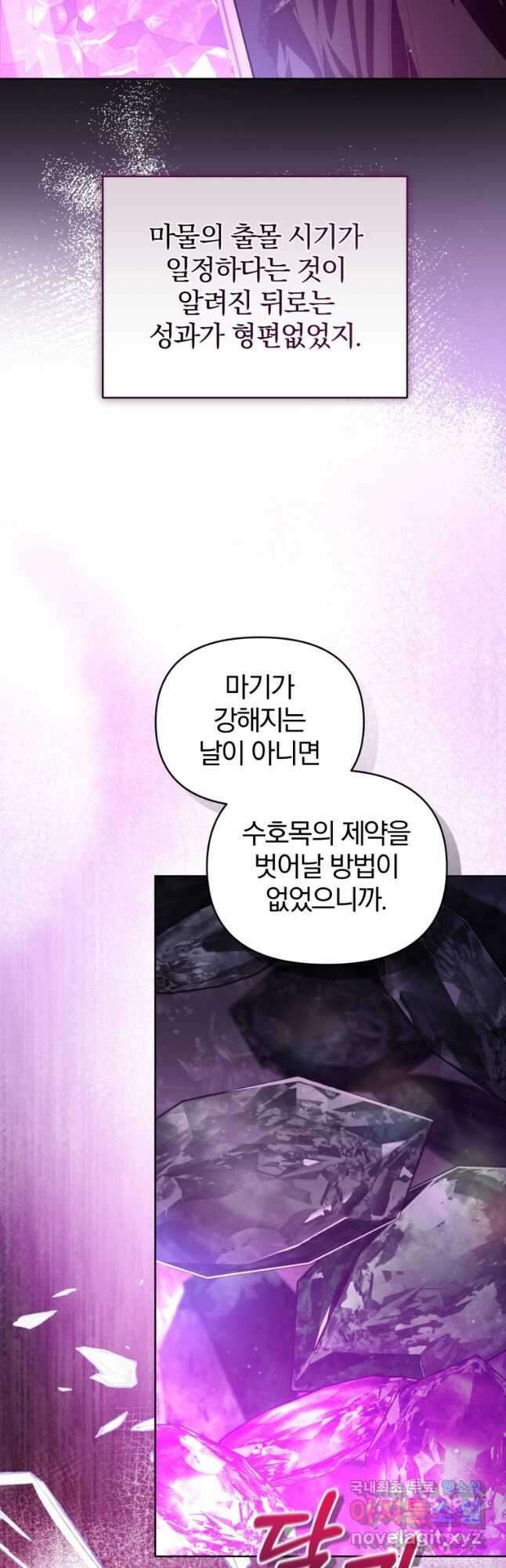 미친 악당의 품으로 떨어졌다 23화 19