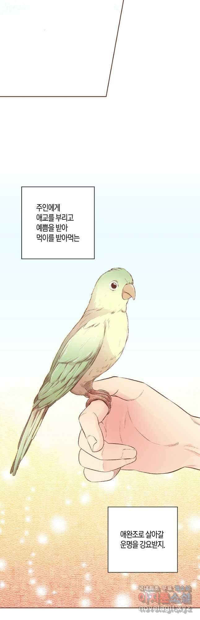 196. 눈이 나려 꽃 98화 (2) 3