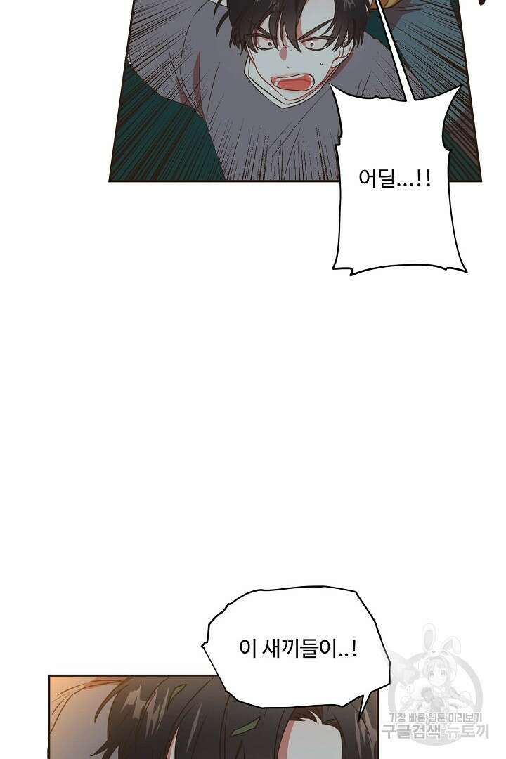 멍멍냥냥 69화 34