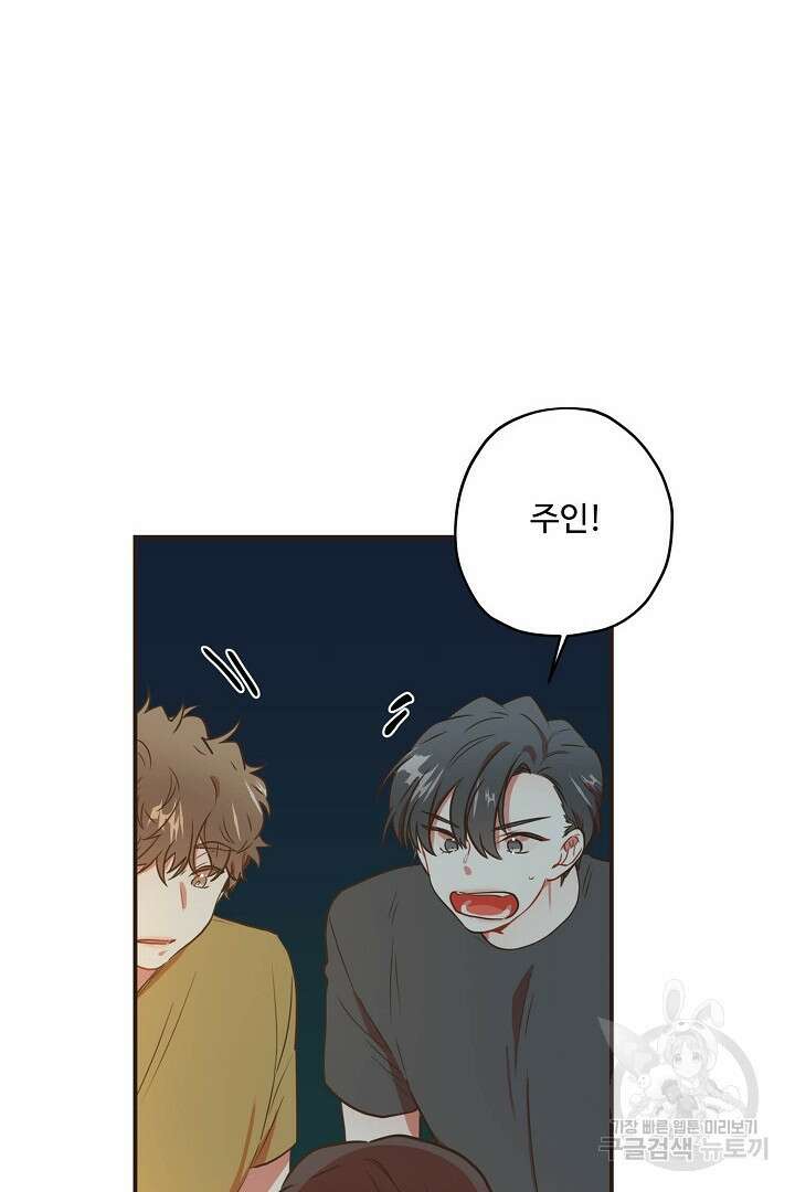 멍멍냥냥 69화 52