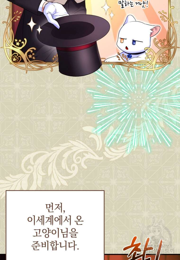 술탄의 귀한 고양이가 되었습니다 4화 3