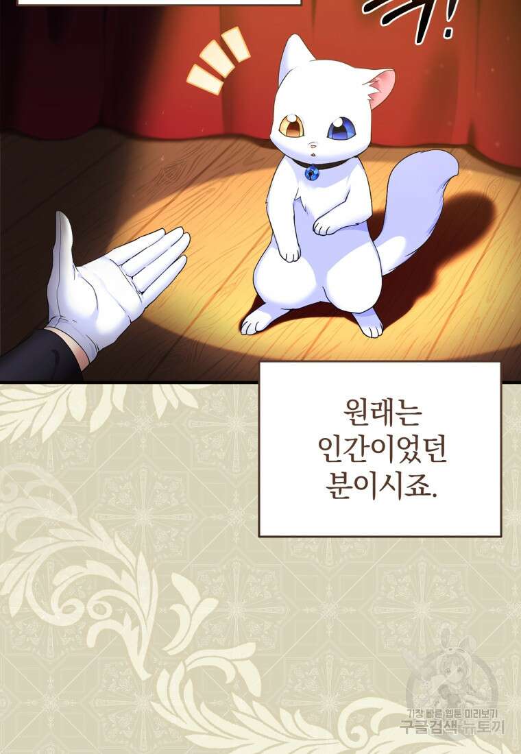 술탄의 귀한 고양이가 되었습니다 4화 4