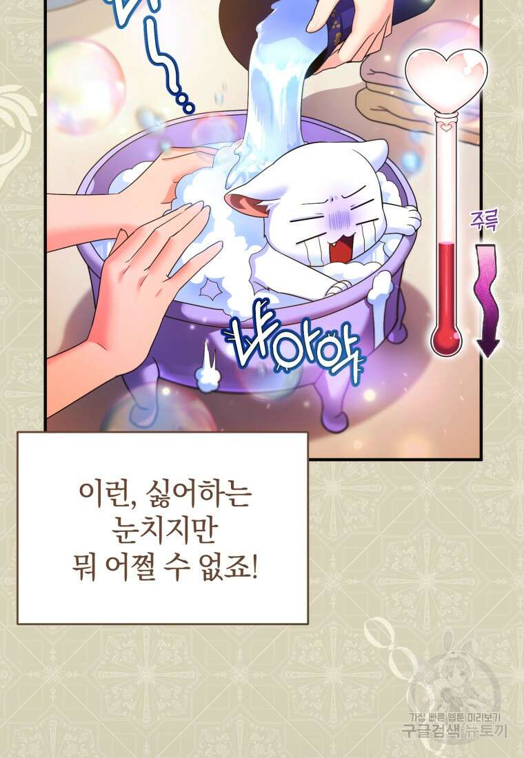 술탄의 귀한 고양이가 되었습니다 4화 7