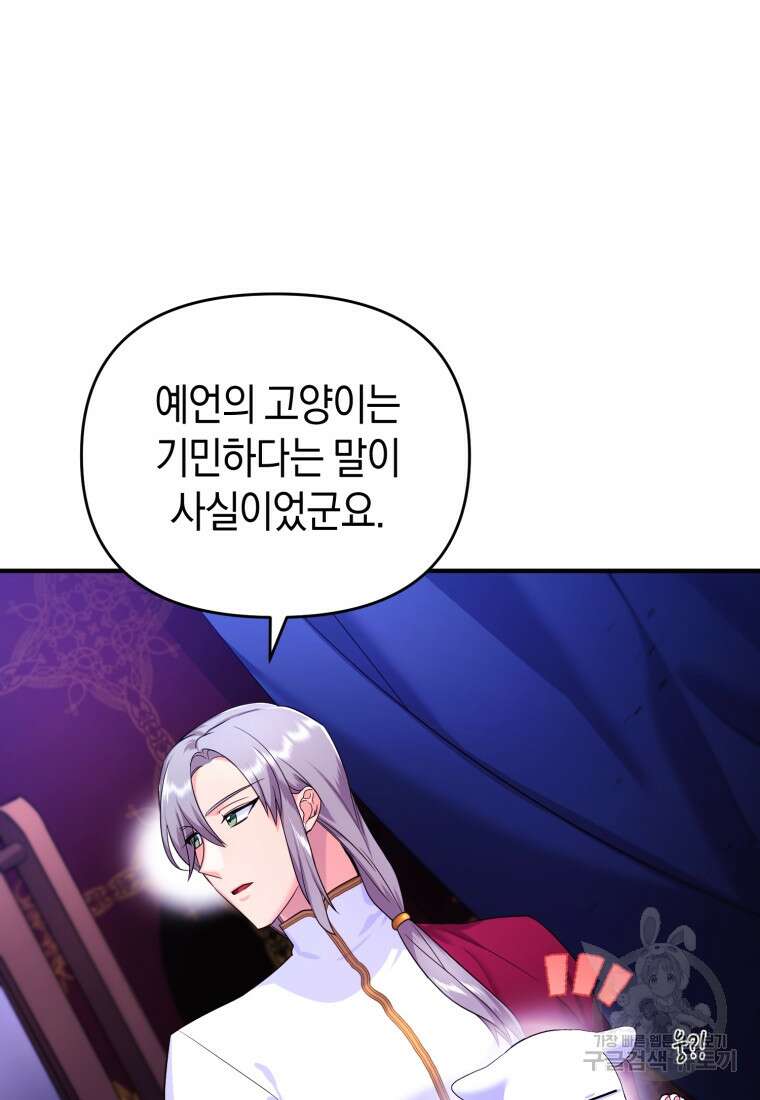 술탄의 귀한 고양이가 되었습니다 4화 16