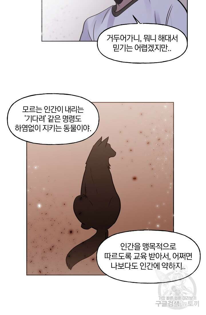 골판지 상자 안 고양이씨 시즌2 16화 24