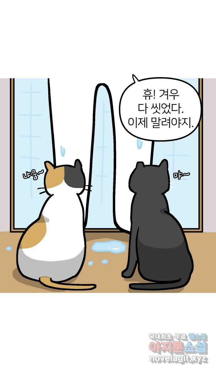 애옹식당 96화 오늘은 내가 타코야키 요리사! 4