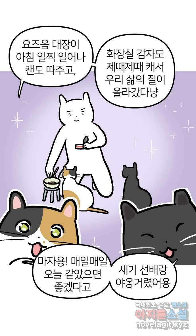 애옹식당 96화 오늘은 내가 타코야키 요리사! 13