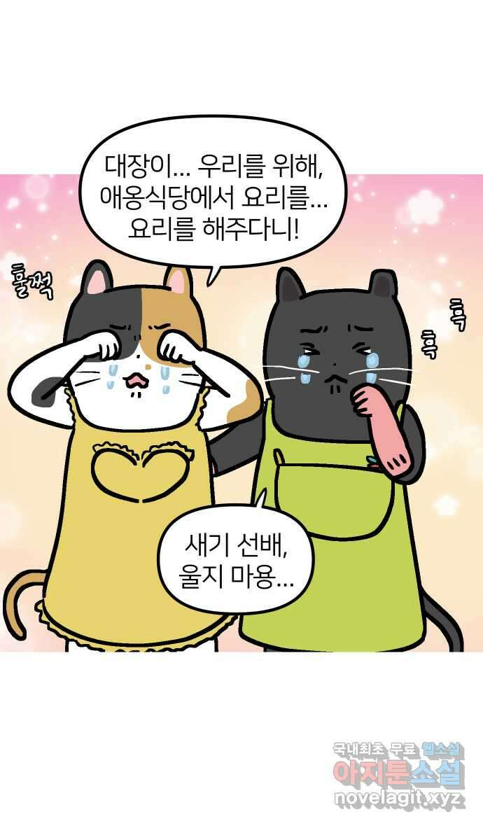 애옹식당 96화 오늘은 내가 타코야키 요리사! 39