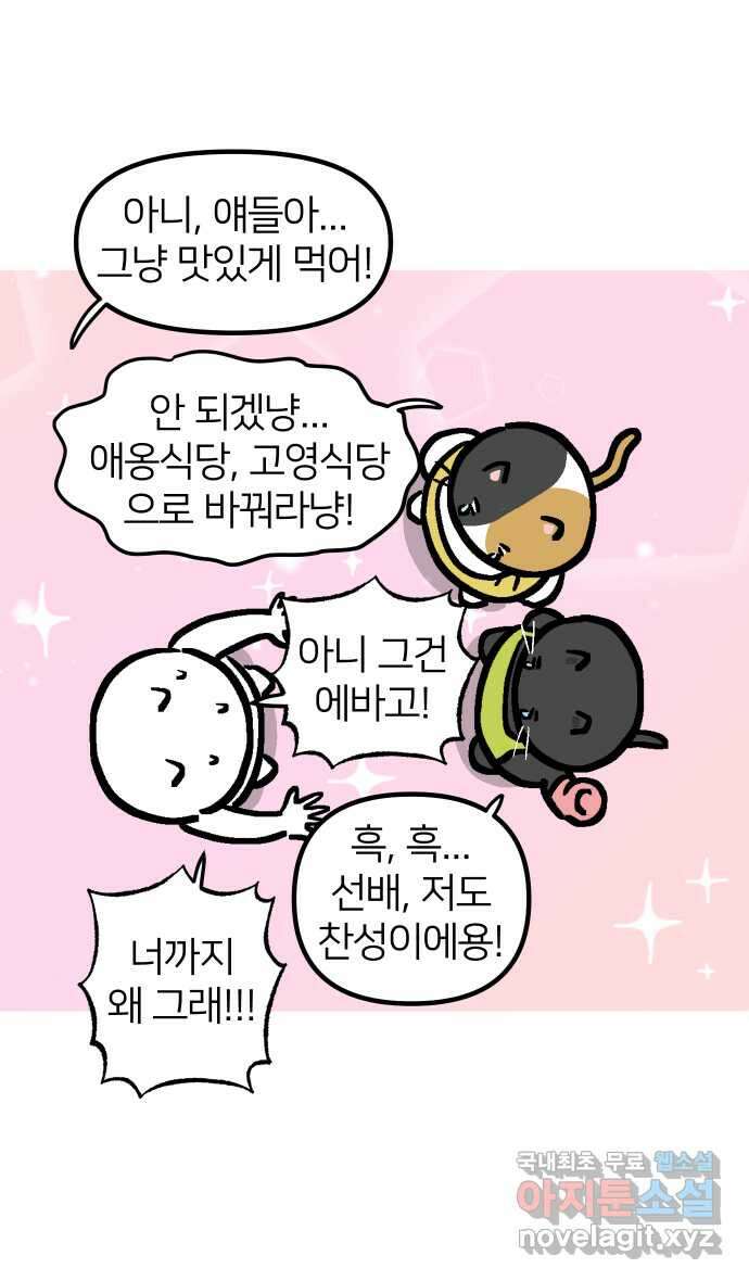 애옹식당 96화 오늘은 내가 타코야키 요리사! 40