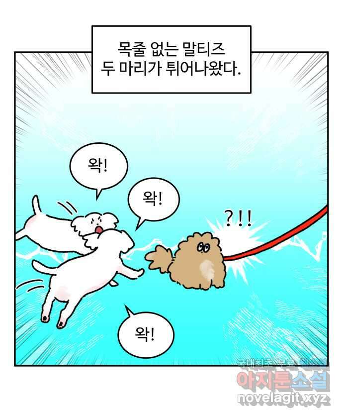 강아지는 멍멍하고 짖지 않아! 37화 - 트라우마 1 5