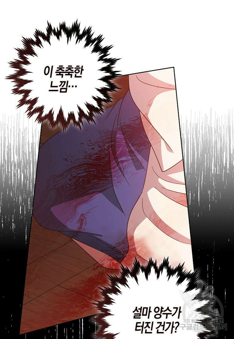 낙화유수 95화 62