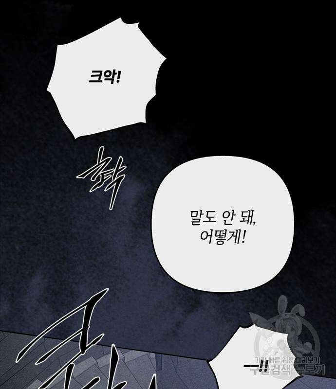 그 기사가 레이디로 사는 법 113화 110