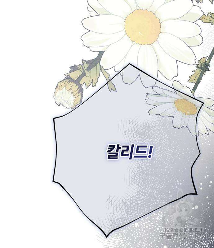 그 기사가 레이디로 사는 법 113화 118