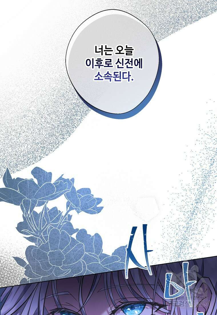 후원에 핀 제비꽃 프롤로그 29