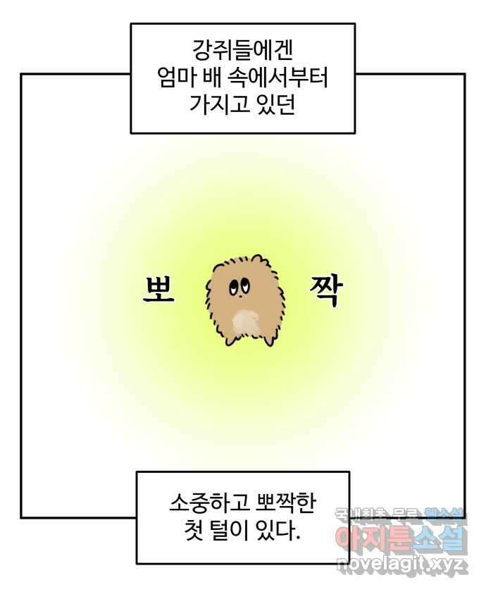 강아지는 멍멍하고 짖지 않아! 43화 - 배냇 미용 1