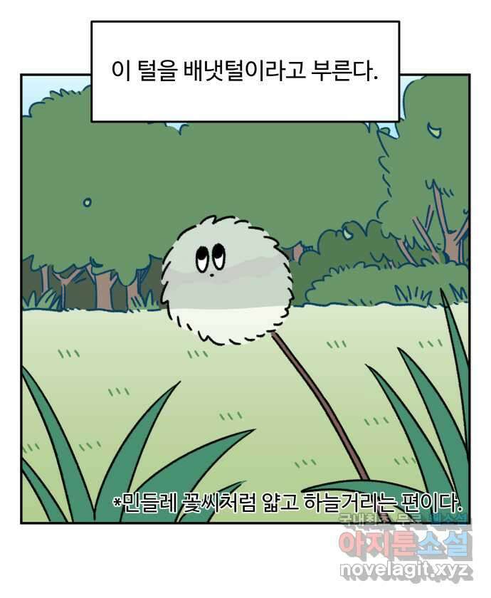 강아지는 멍멍하고 짖지 않아! 43화 - 배냇 미용 2