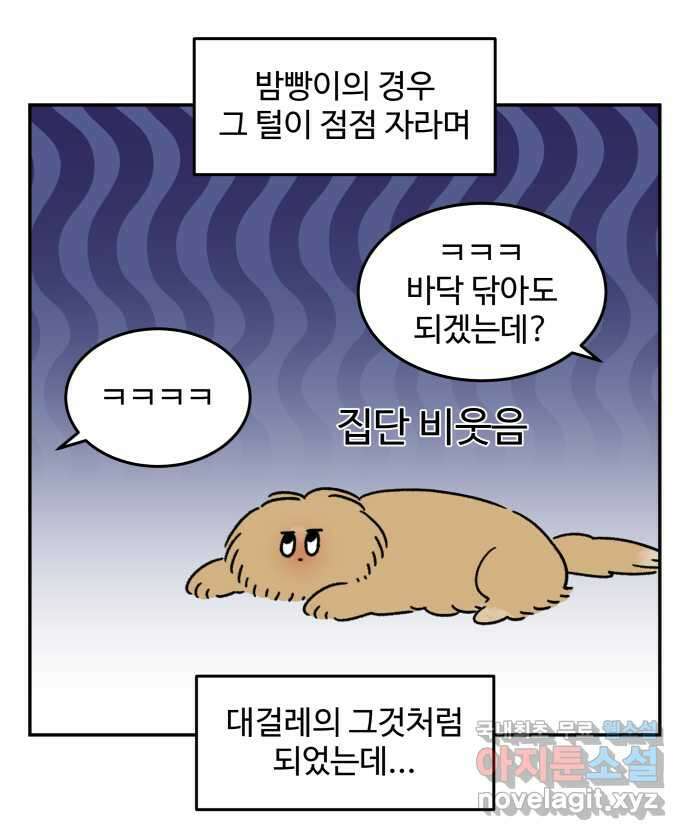 강아지는 멍멍하고 짖지 않아! 43화 - 배냇 미용 3