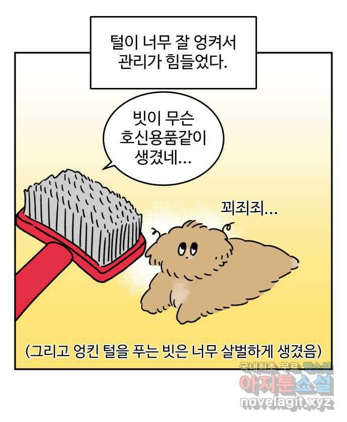 강아지는 멍멍하고 짖지 않아! 43화 - 배냇 미용 4